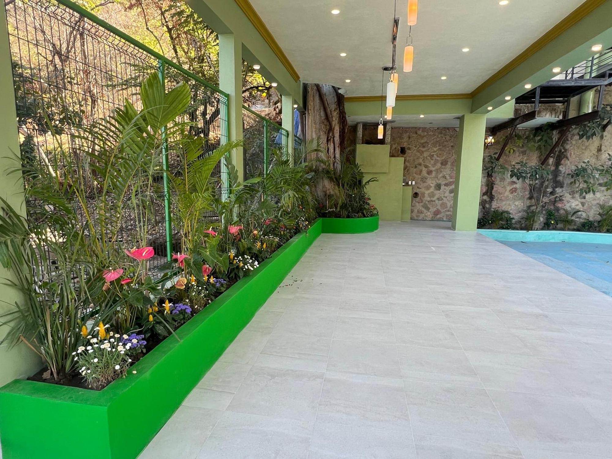 South Shore Villa Armonia Luxury Boutique Puerto Vallarta Exterior foto